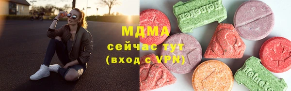 прущие грибы Верея