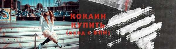 ГАЛЛЮЦИНОГЕННЫЕ ГРИБЫ Дубовка