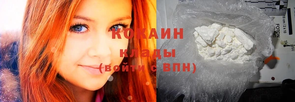 ГАЛЛЮЦИНОГЕННЫЕ ГРИБЫ Дубовка