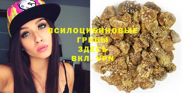 ПСИЛОЦИБИНОВЫЕ ГРИБЫ Пролетарск