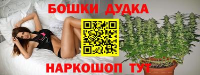 a pvp Кинель