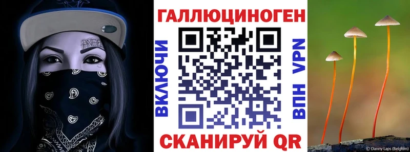 Галлюциногенные грибы GOLDEN TEACHER  Тулун 
