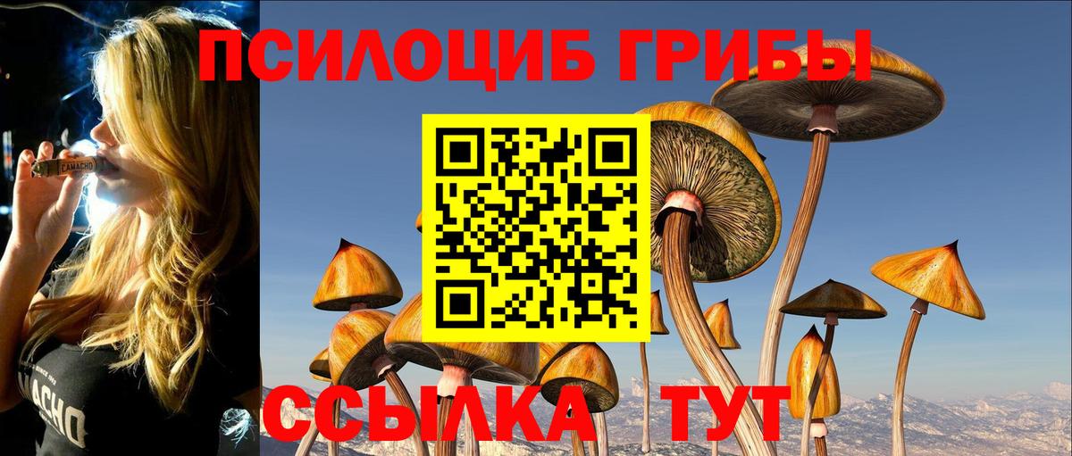 Галлюциногенные грибы мицелий  Тулун 