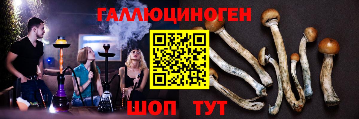 Тулун  наркотики  Вход с VPN  Псилоцибиновые грибы Magic Shrooms 