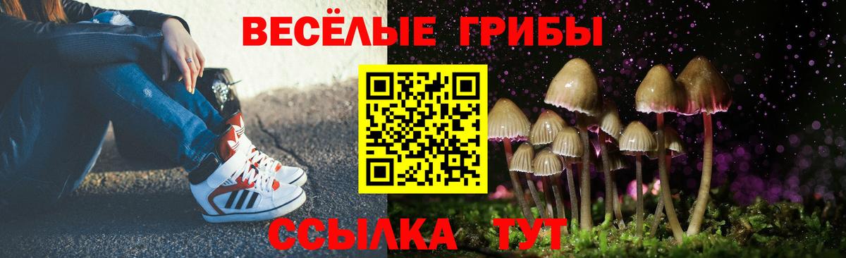 Галлюциногенные грибы MAGIC MUSHROOMS Тулун
